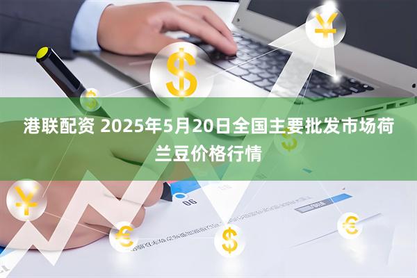 港联配资 2025年5月20日全国主要批发市场荷兰豆价格行情