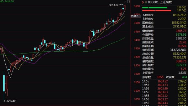 路易泽 A股突发！002883，直线“地天板”！强势4连涨停