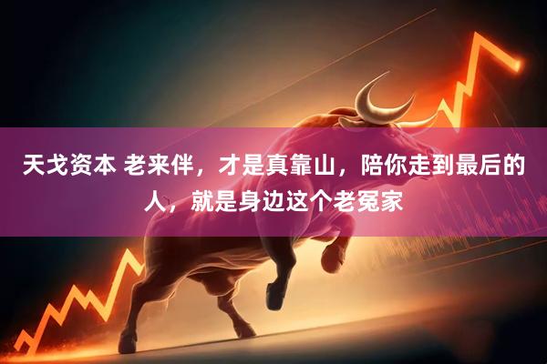 天戈资本 老来伴，才是真靠山，陪你走到最后的人，就是身边这个老冤家